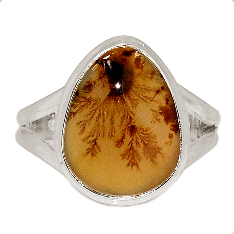 Scenic Dendrite Agate Ring - SDAR1969