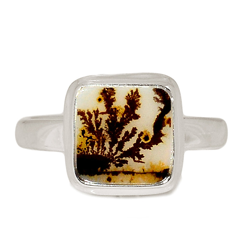 Scenic Dendrite Agate Ring - SDAR1971