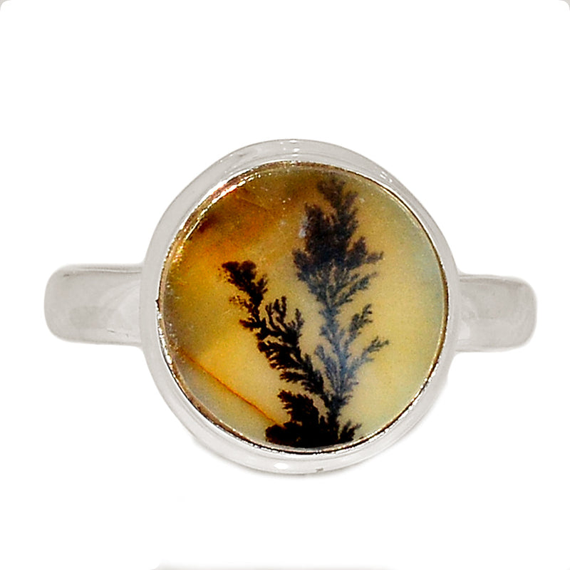 Scenic Dendrite Agate Ring - SDAR1973