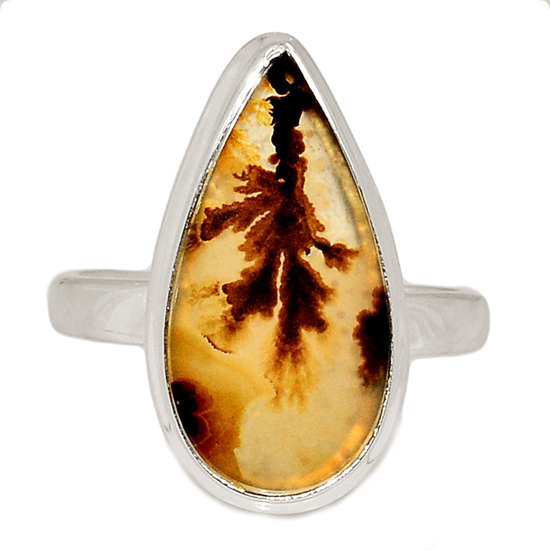 Scenic Dendrite Agate Ring - SDAR1974