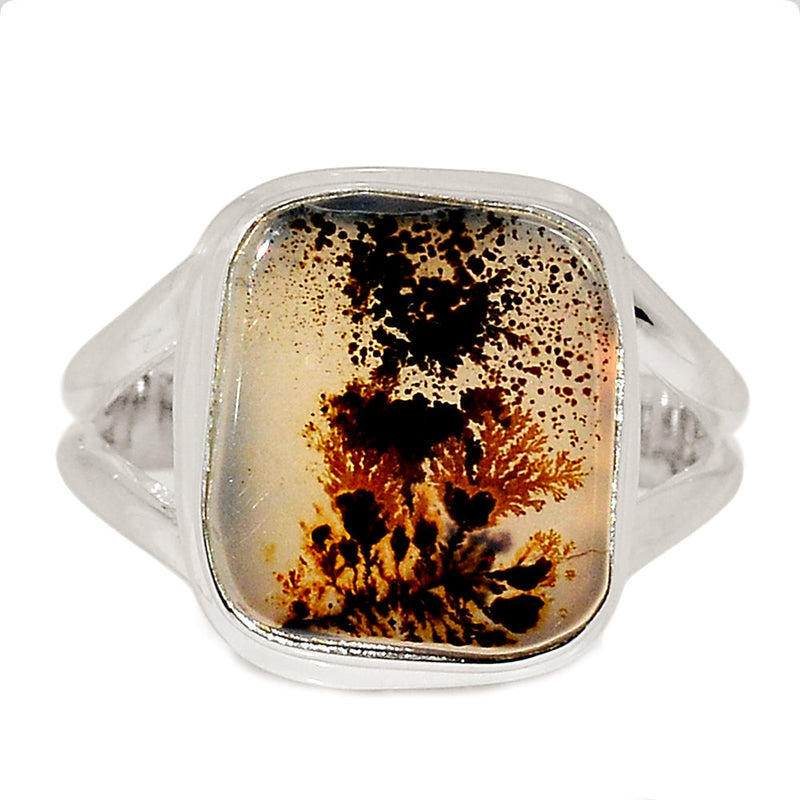 Scenic Dendrite Agate Ring - SDAR1977