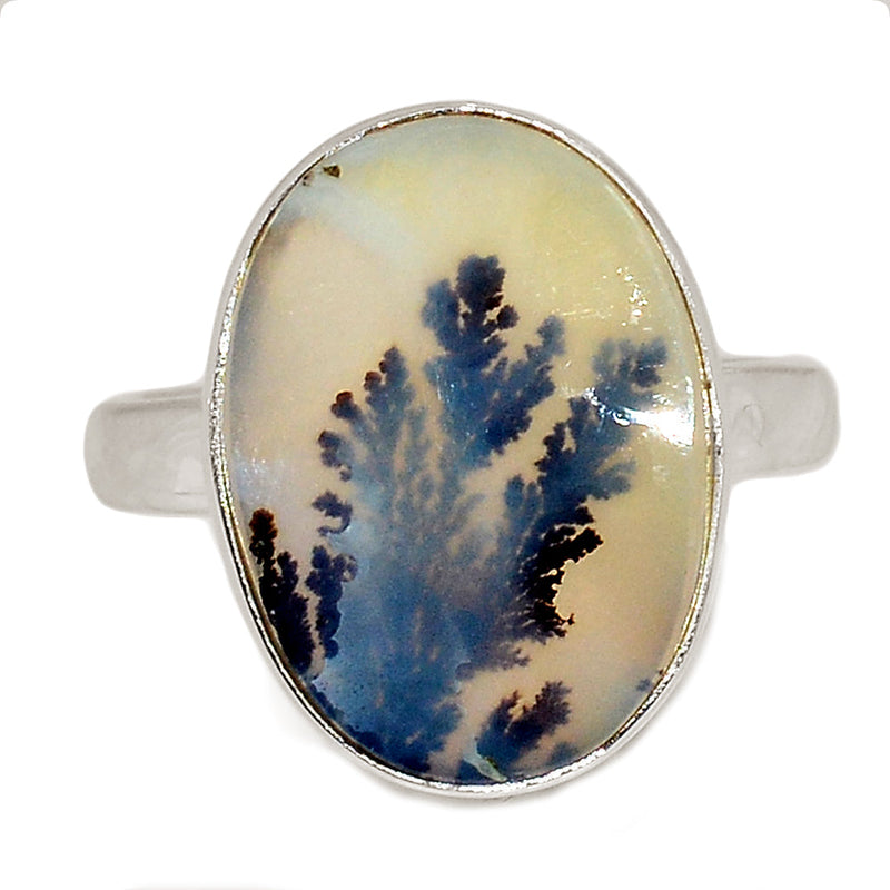 Scenic Dendrite Agate Ring - SDAR1978