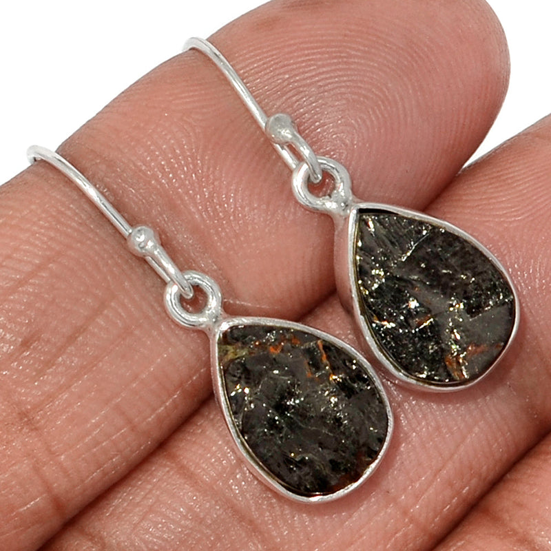 1.2" Shungite Earrings - SNGE806