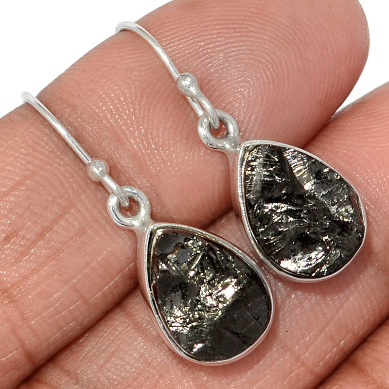 1.2" Shungite Earrings - SNGE816