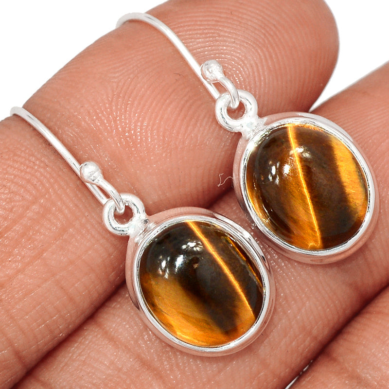 1.2" Tiger Eye Earrings - TEYE819