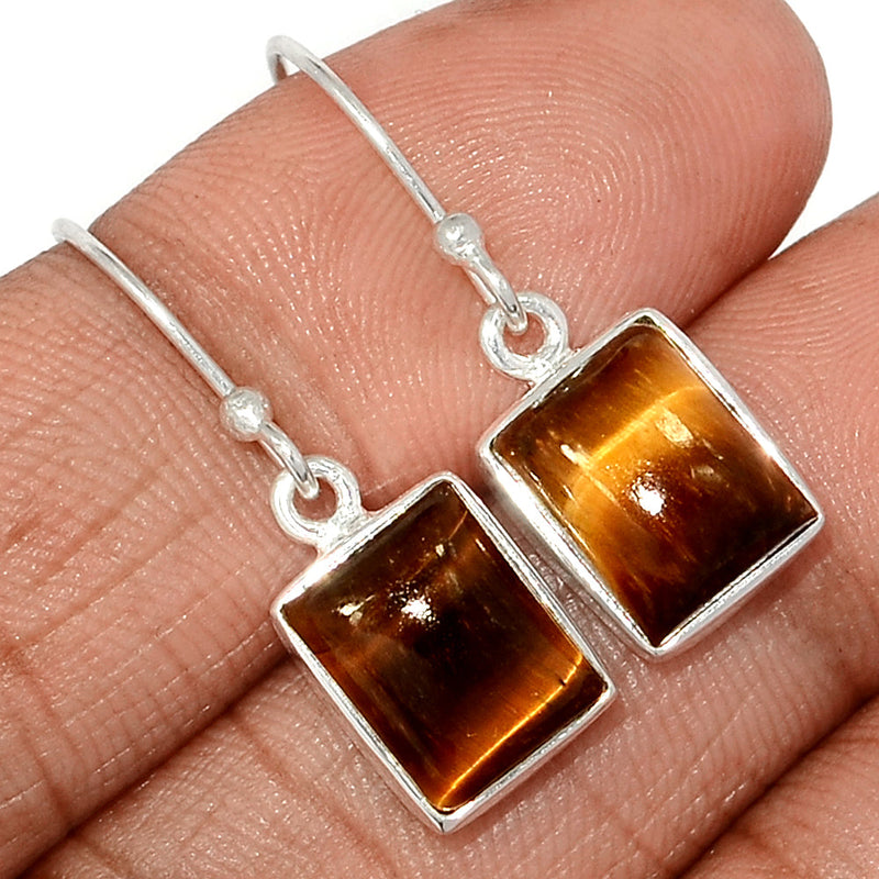 1.1" Tiger Eye Earrings - TEYE859