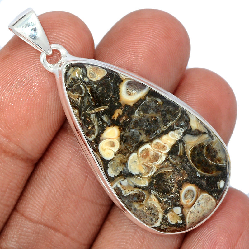 2" Turtella Jasper Pendants - TTJP750