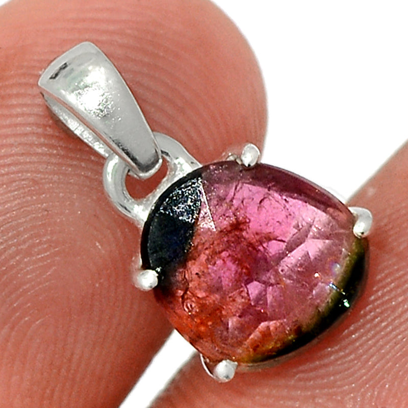 0.7" Claw - Watermelon Tourmaline Slice Faceted Pendants - WTFP13