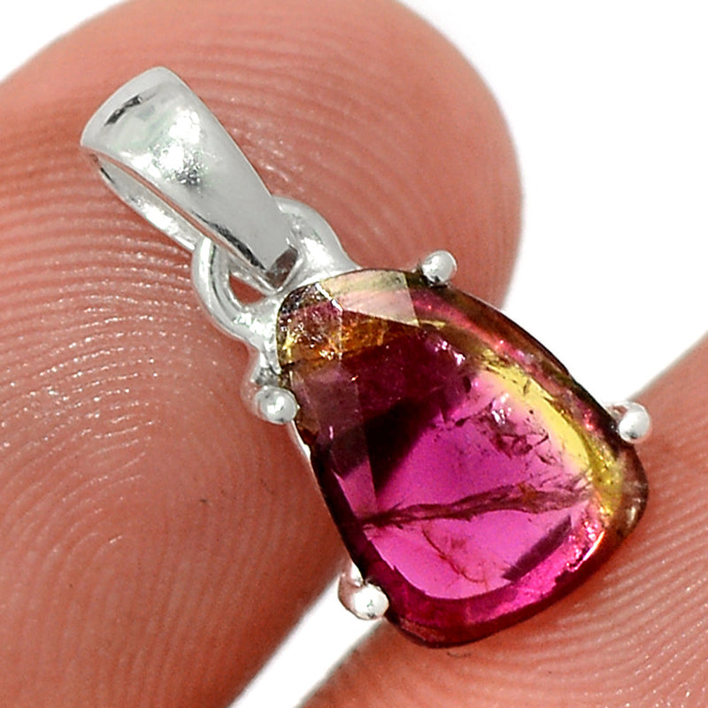 0.7" Claw - Watermelon Tourmaline Slice Faceted Pendants - WTFP2