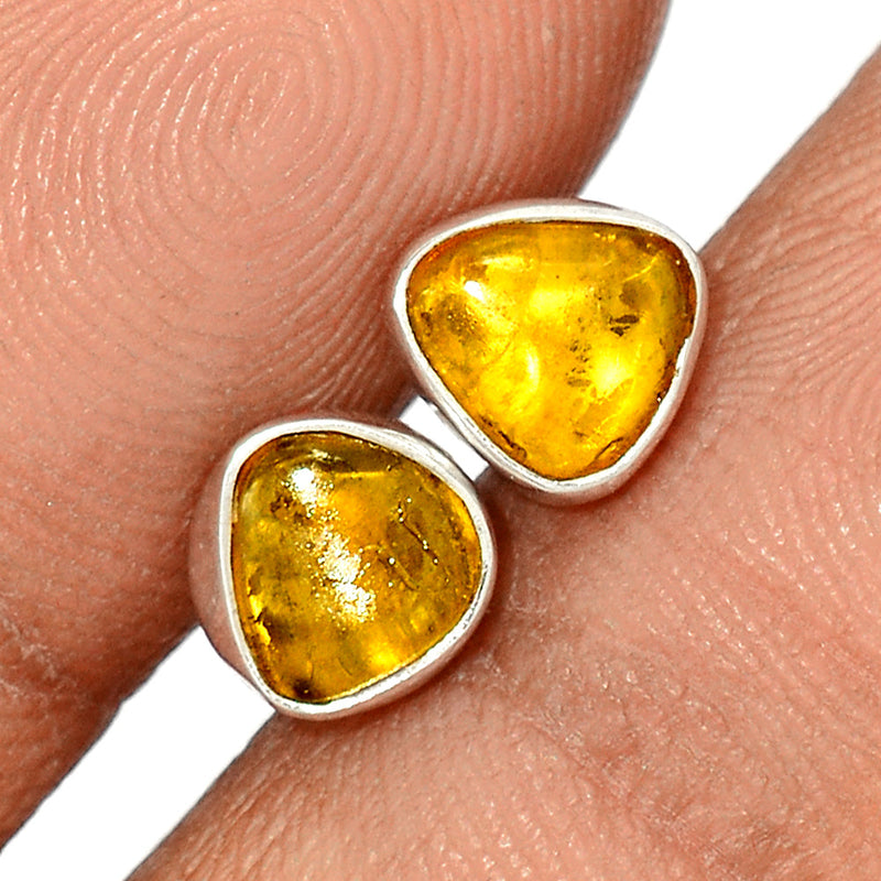 Baltic Amber Studs - BAMS13