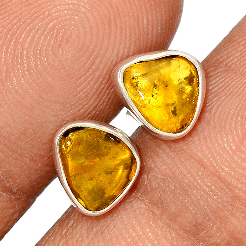 Baltic Amber Studs - BAMS15