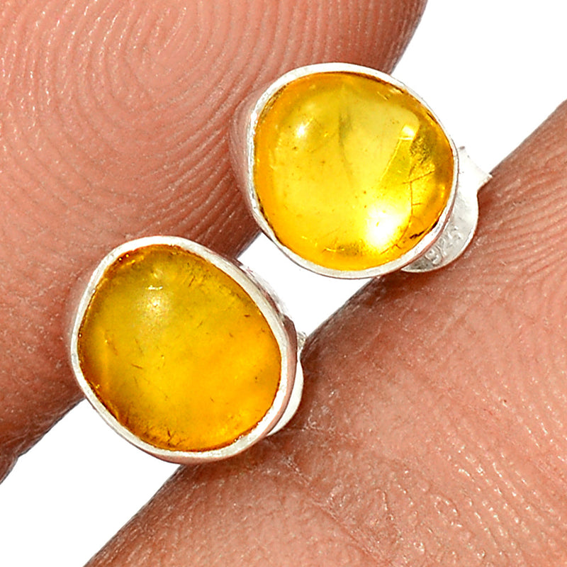 Baltic Amber Studs - BAMS21