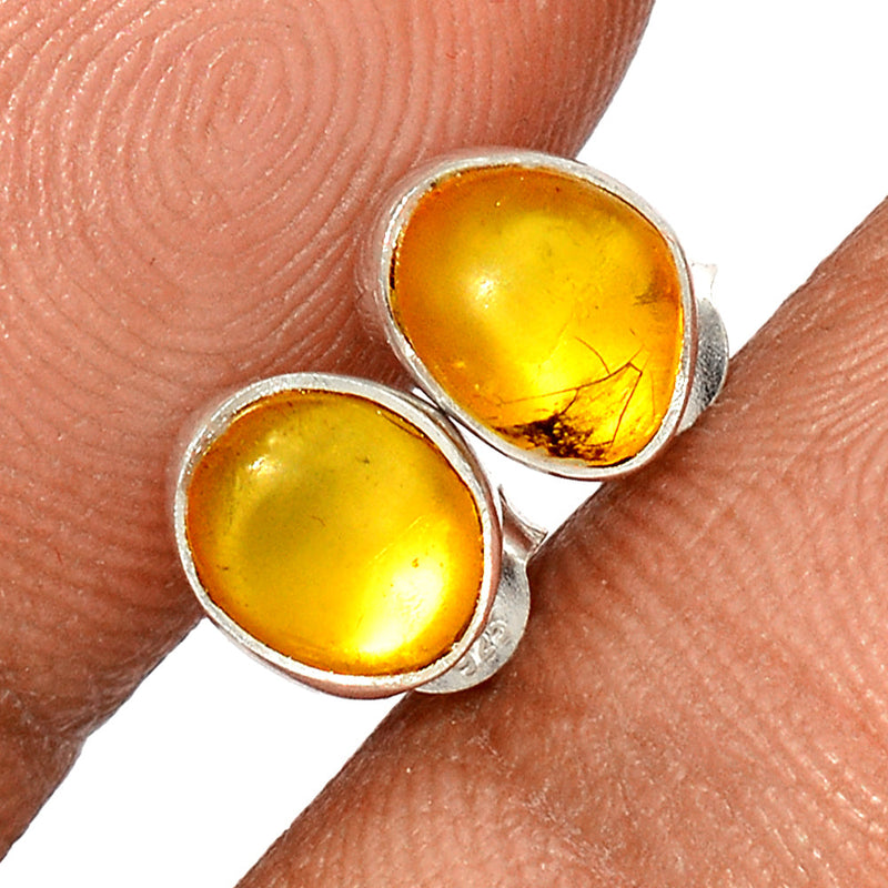 Baltic Amber Studs - BAMS29