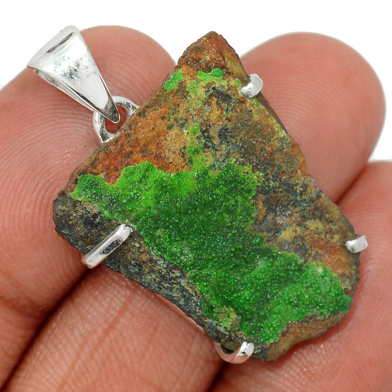 1.5" Claw - Conichalcite Pendants - CCCP15