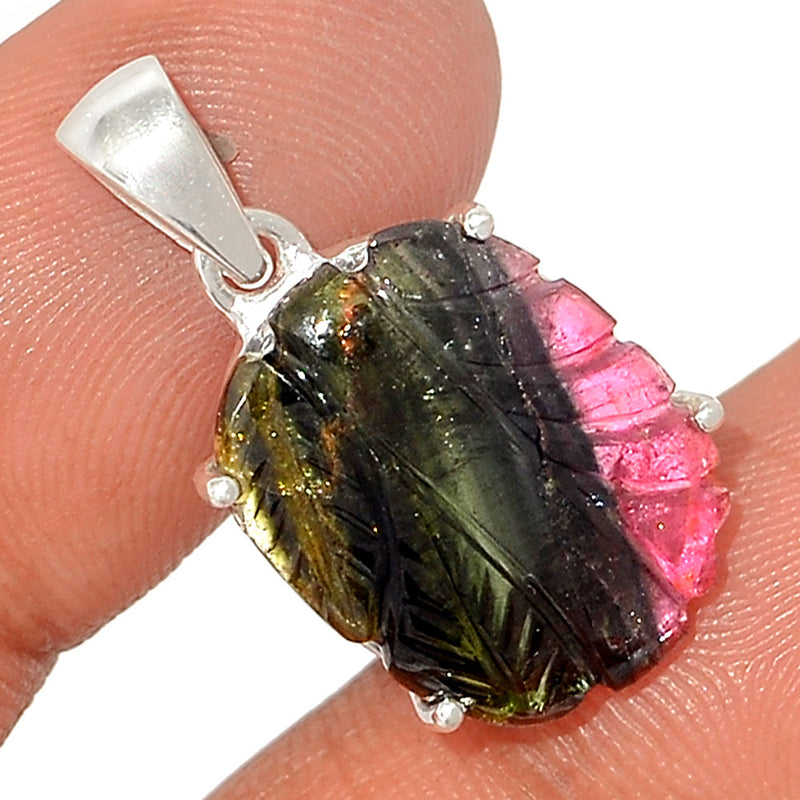 1.1" Claw - Carved Watermelan Tourmaline Slice Pendants - CWTP8