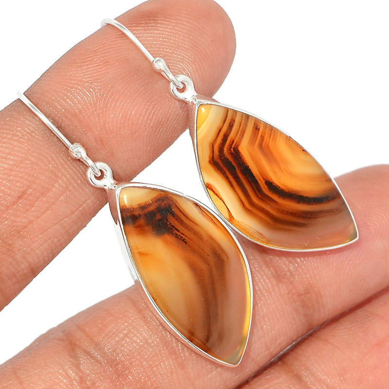 1.7" Montana Agate Earrings - MNTE339