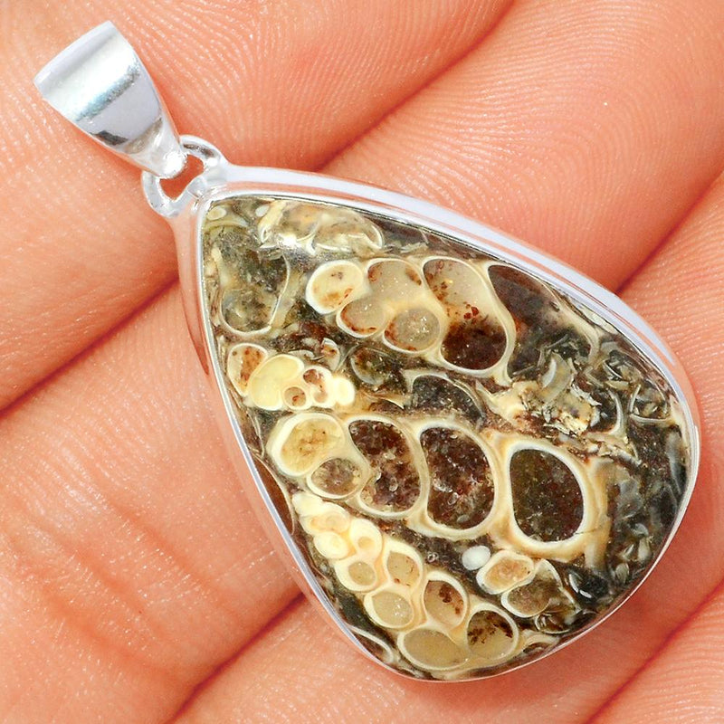 1.6" Turtella Jasper Pendants - TTJP558