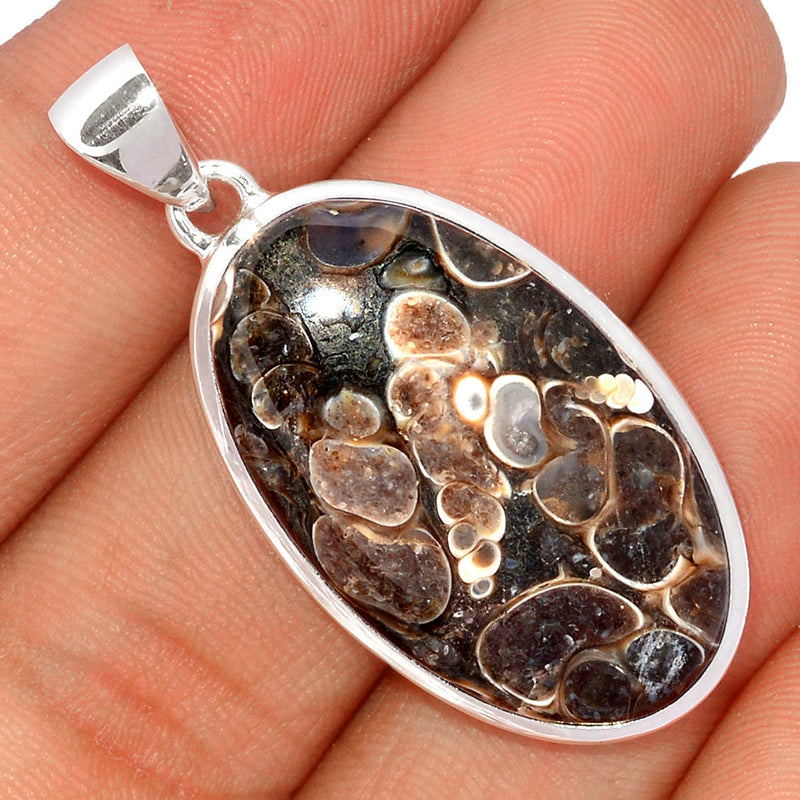 1.7" Turtella Jasper Pendants - TTJP647